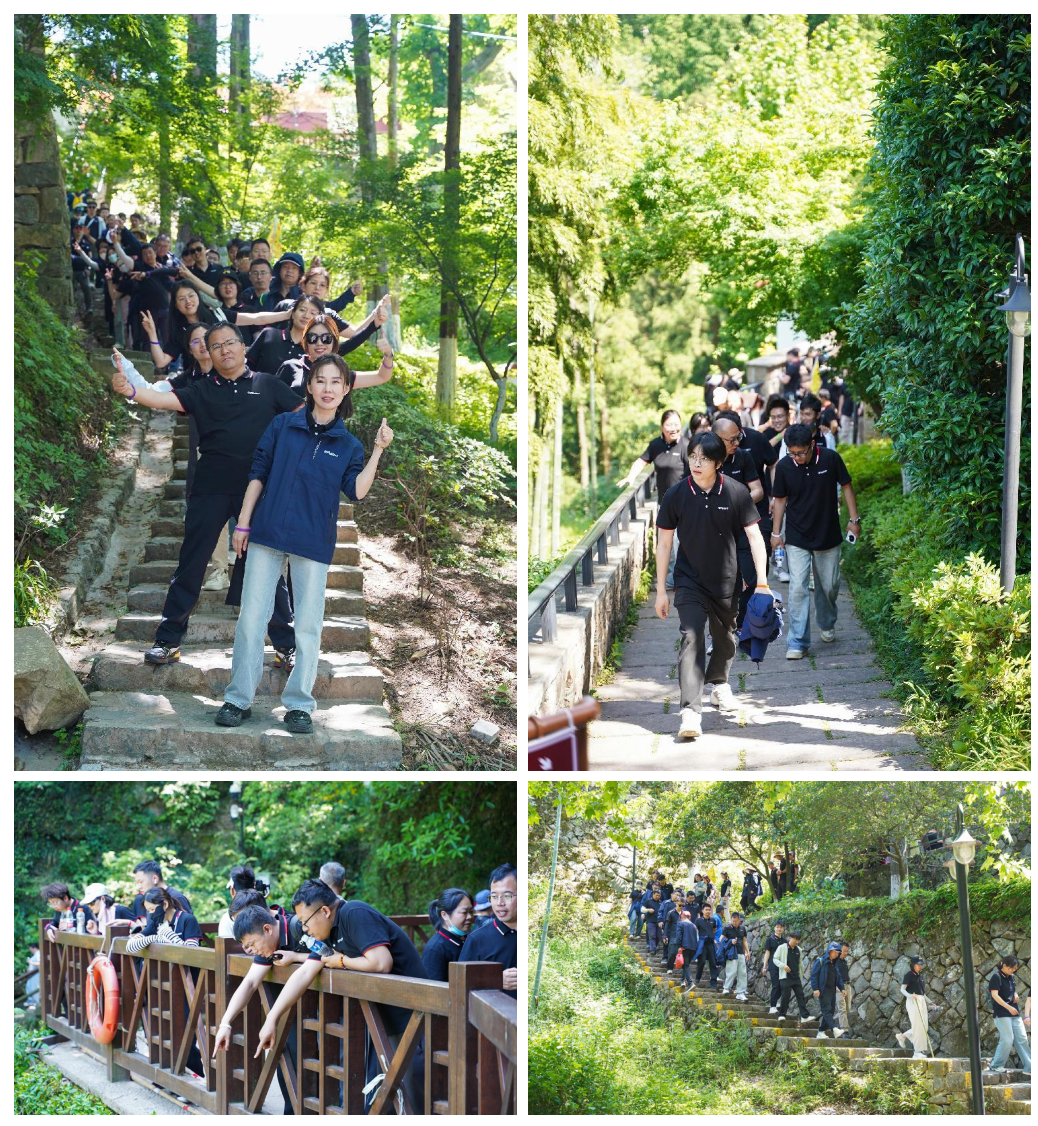 /ueditor/image/20250513/1747106819987211/6439ac0d91fe904348db32ce39107db0.png /ueditor/image/20250513/1747106819987211/6439ac0d91fe904348db32ce39107db0.png